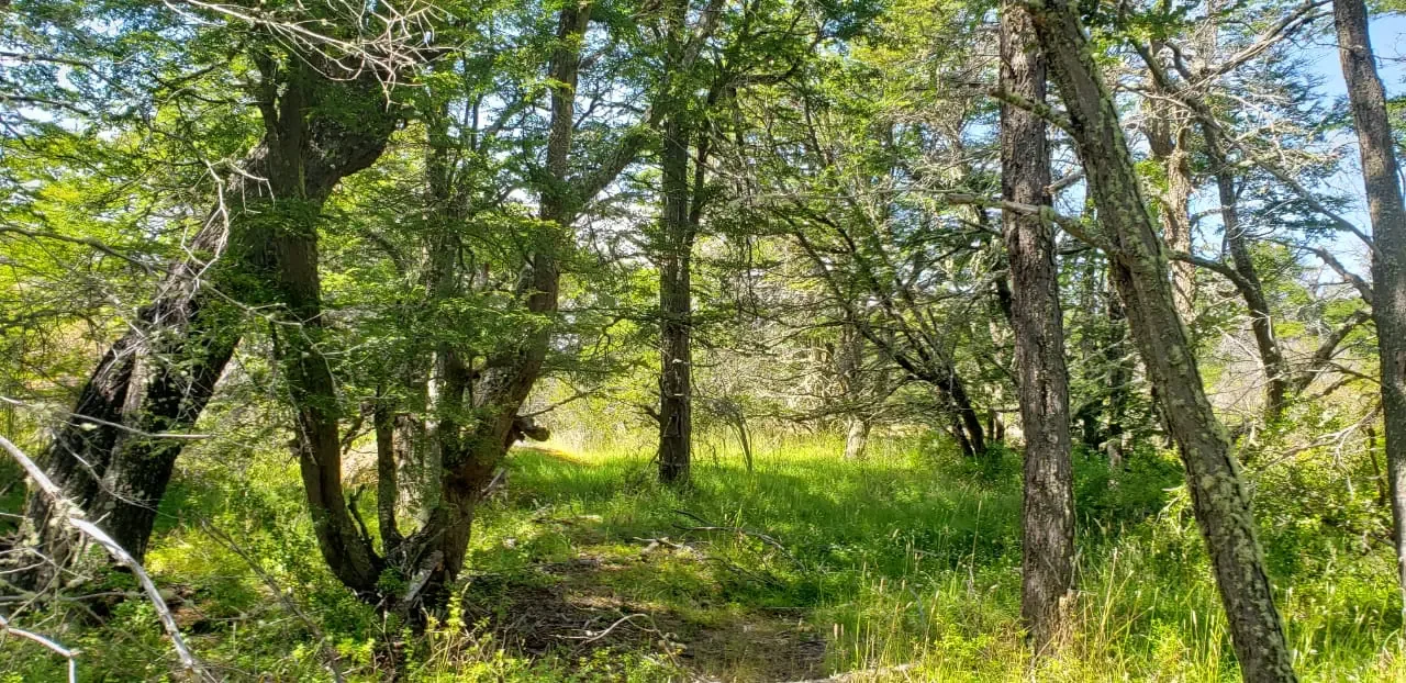 UNA NUEVA EXPERIENCIA EN INVERSIÓN Y CONSERVACIÓN - 3