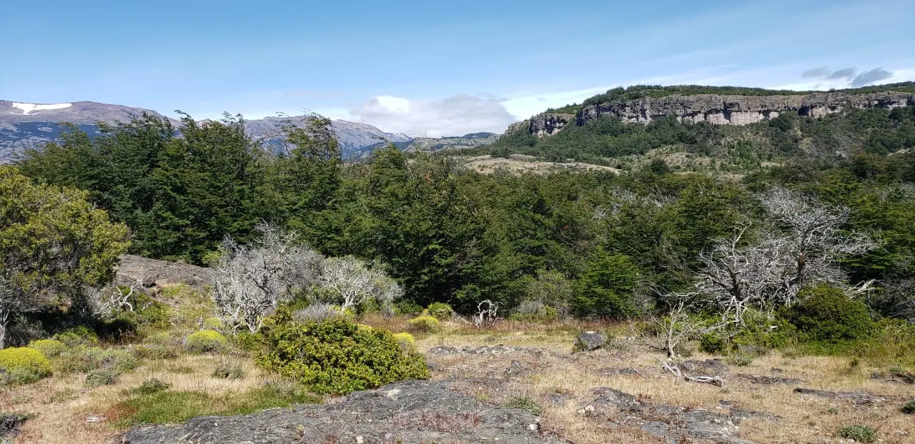 UNA NUEVA EXPERIENCIA EN INVERSIÓN Y CONSERVACIÓN - 4