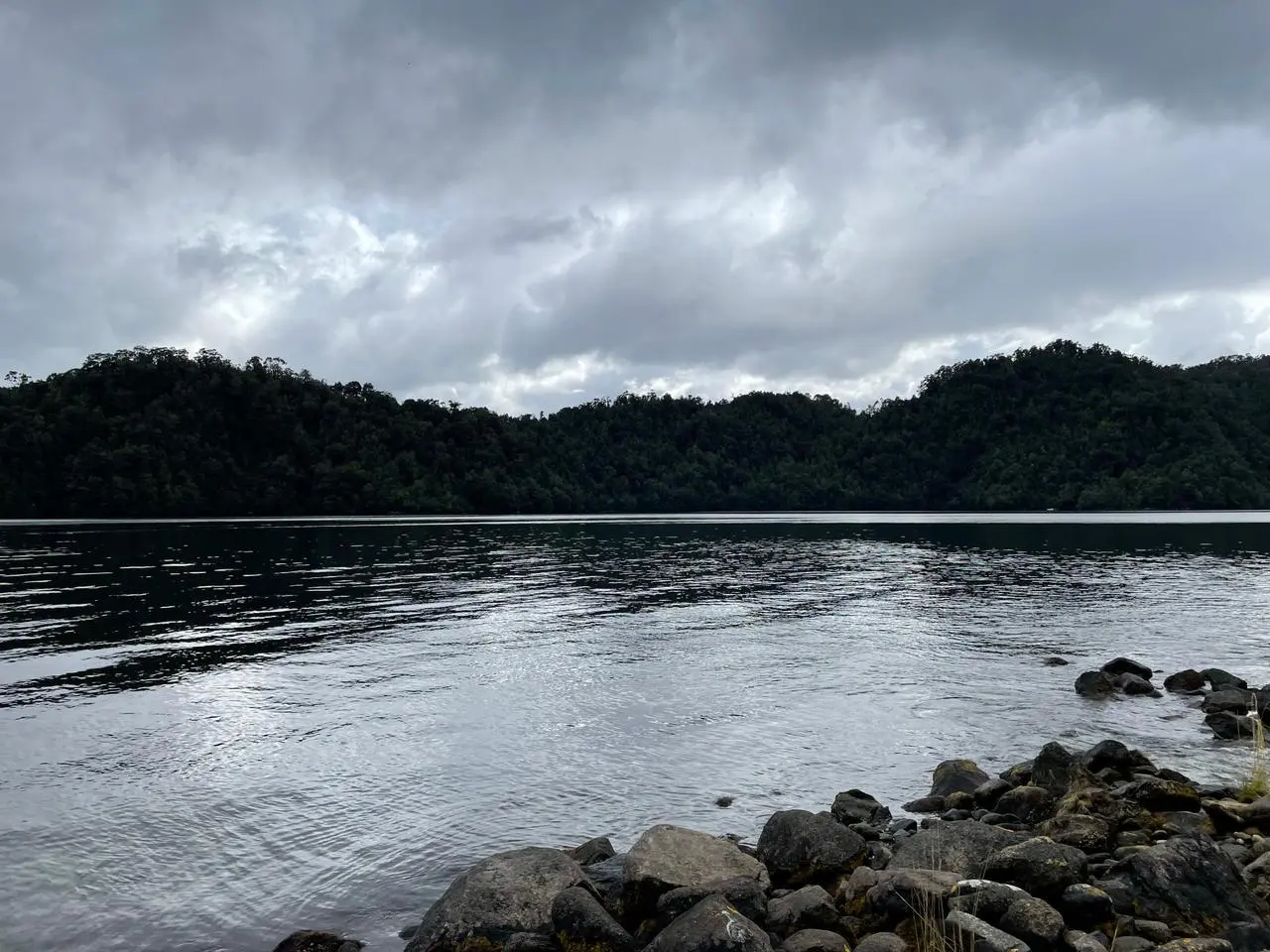 UNA NUEVA EXPERIENCIA EN INVERSIÓN Y CONSERVACIÓN - 4