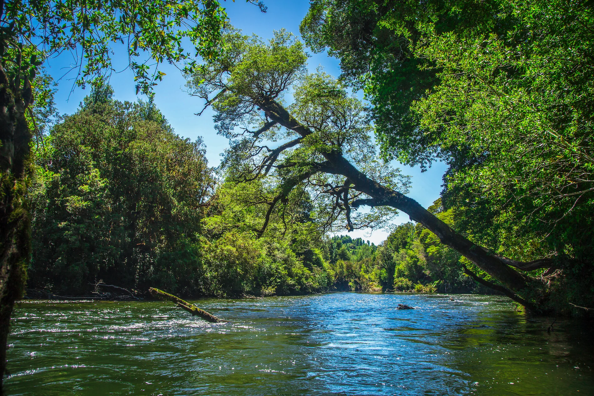 Una nueva experiencia en inversión y conservación - 3